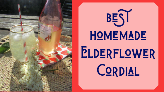 elderflower cordial recipe, how to make, summer recipes, elderflower, easy, best